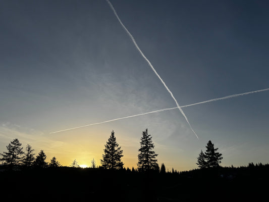 the picture of a sunset with trees at the bottom and airplane lines making an X in the sky. 